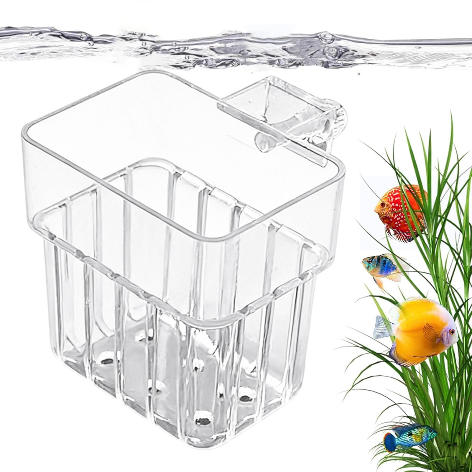 Aquarium Plants Live - Pot Tanaman Akuarium Transparan yang Dapat