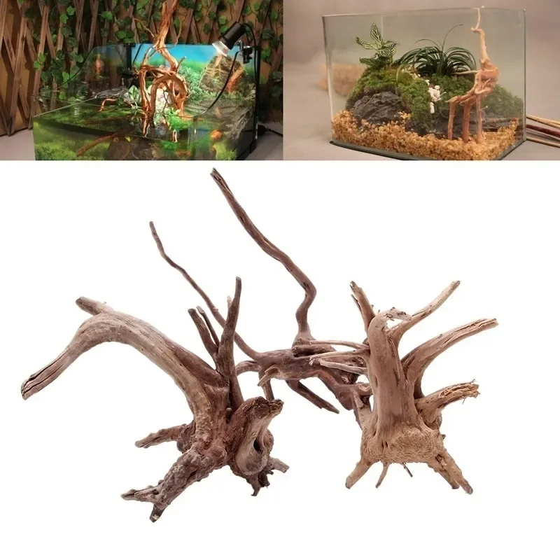 Aquarium Plants Live - Pohon alami kayu apung akuarium tangki