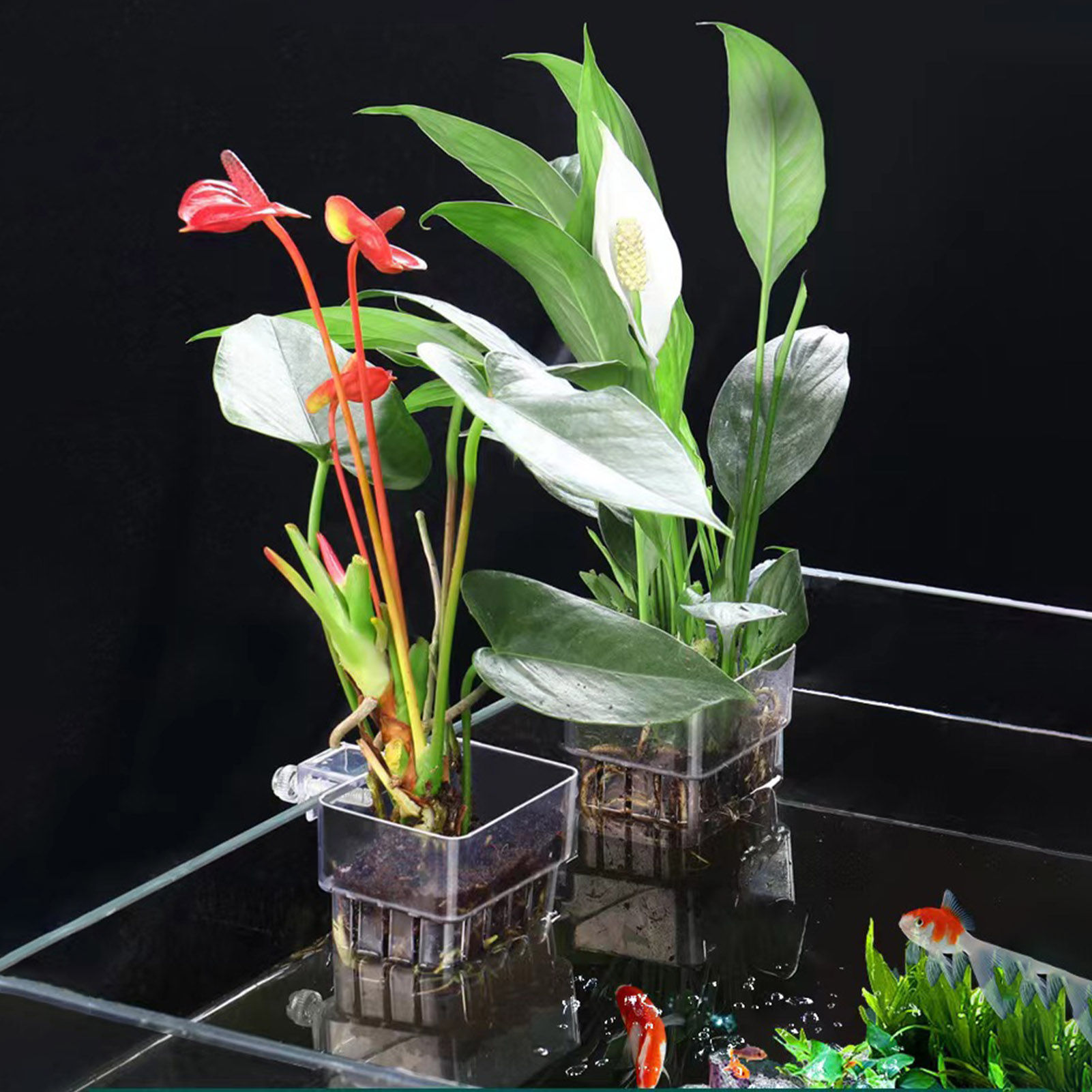Aquarium Plant Holder - Wadah Tanaman Akrilik Transparan, Keranjang Penanaman
