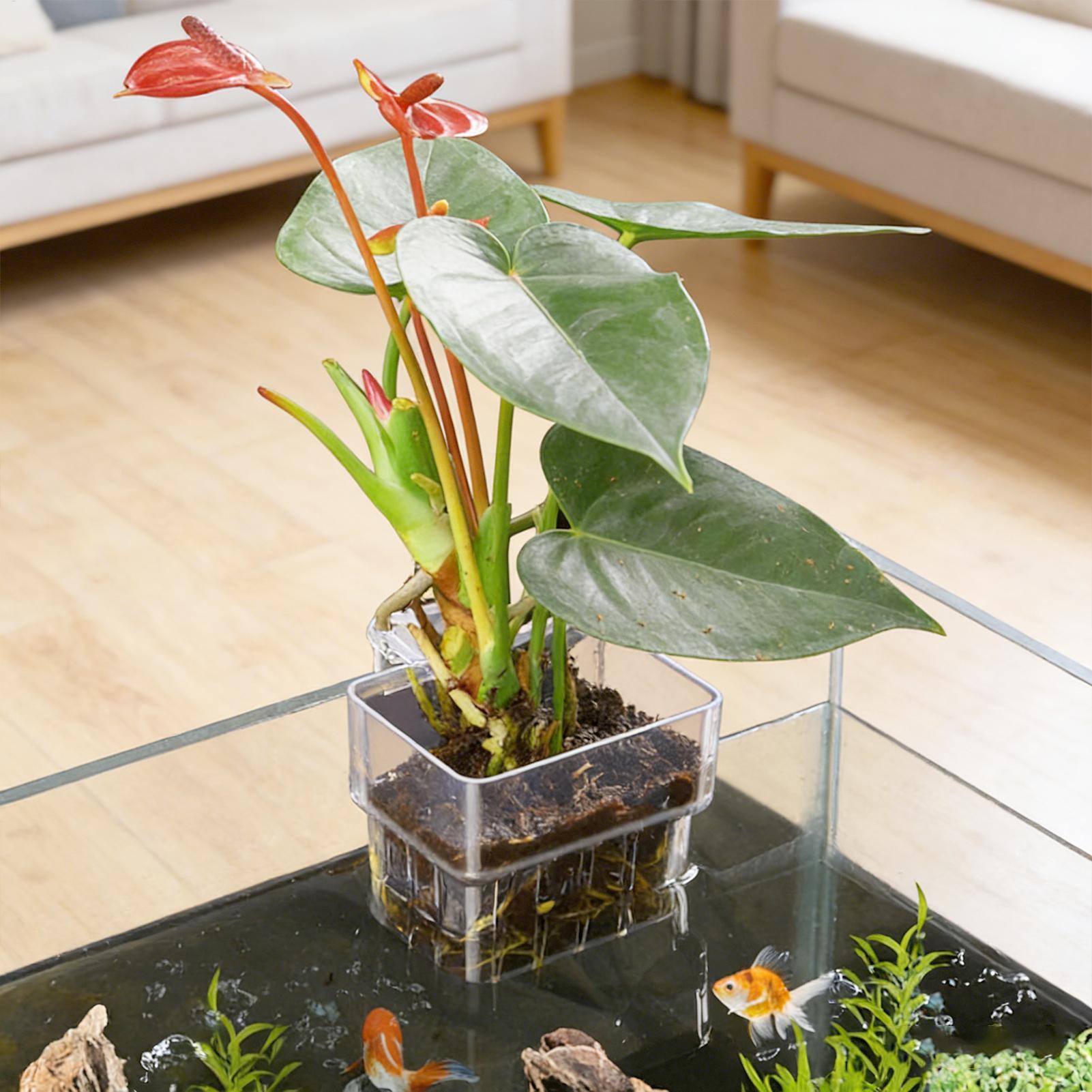 Aquarium Plant Holder - Keranjang Tanaman Akuarium Transparan, Dekorasi Gantung