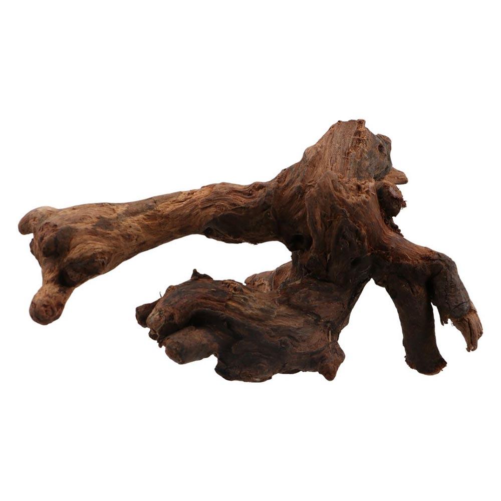 Aquarium Plants Live - Kayu Karang Bentuk Tidak Beraturan Kreatif,
