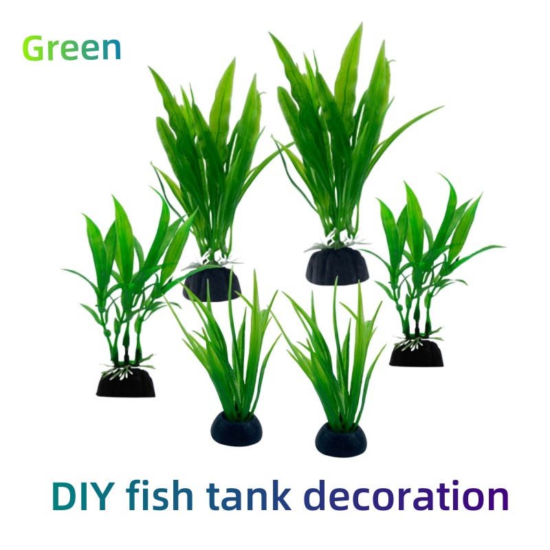 Aquarium Plants Live - 6 buah Paket Tanaman Akuarium, Dekorasi