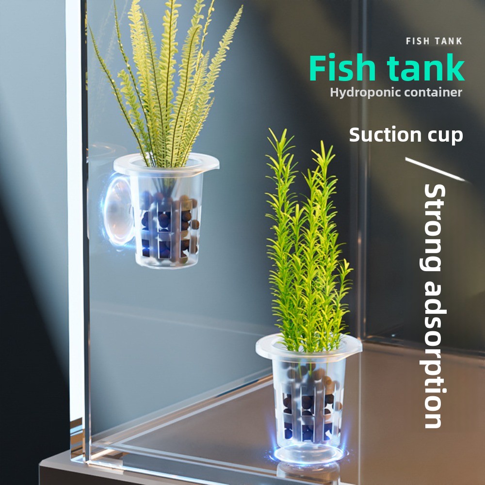 10 Buah Pot Hidroponik Tanaman - Aquarium Plants Live ulasan dan harga