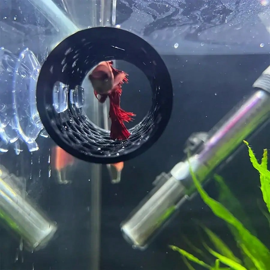 Tabung Berongga Hitam Tempat P - Aquarium Plants Live ulasan dan harga