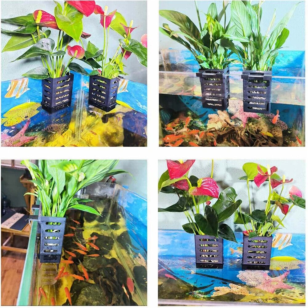 Pemegang tanaman tangki ikan a - Aquarium Plant Holder ulasan dan harga