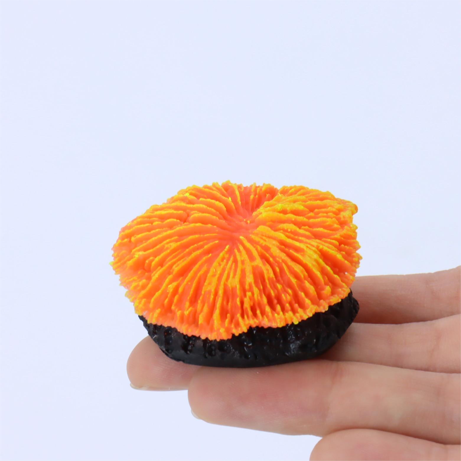 1 Buah Dekorasi Akuarium, Kara - Aquarium Plants Live ulasan dan harga