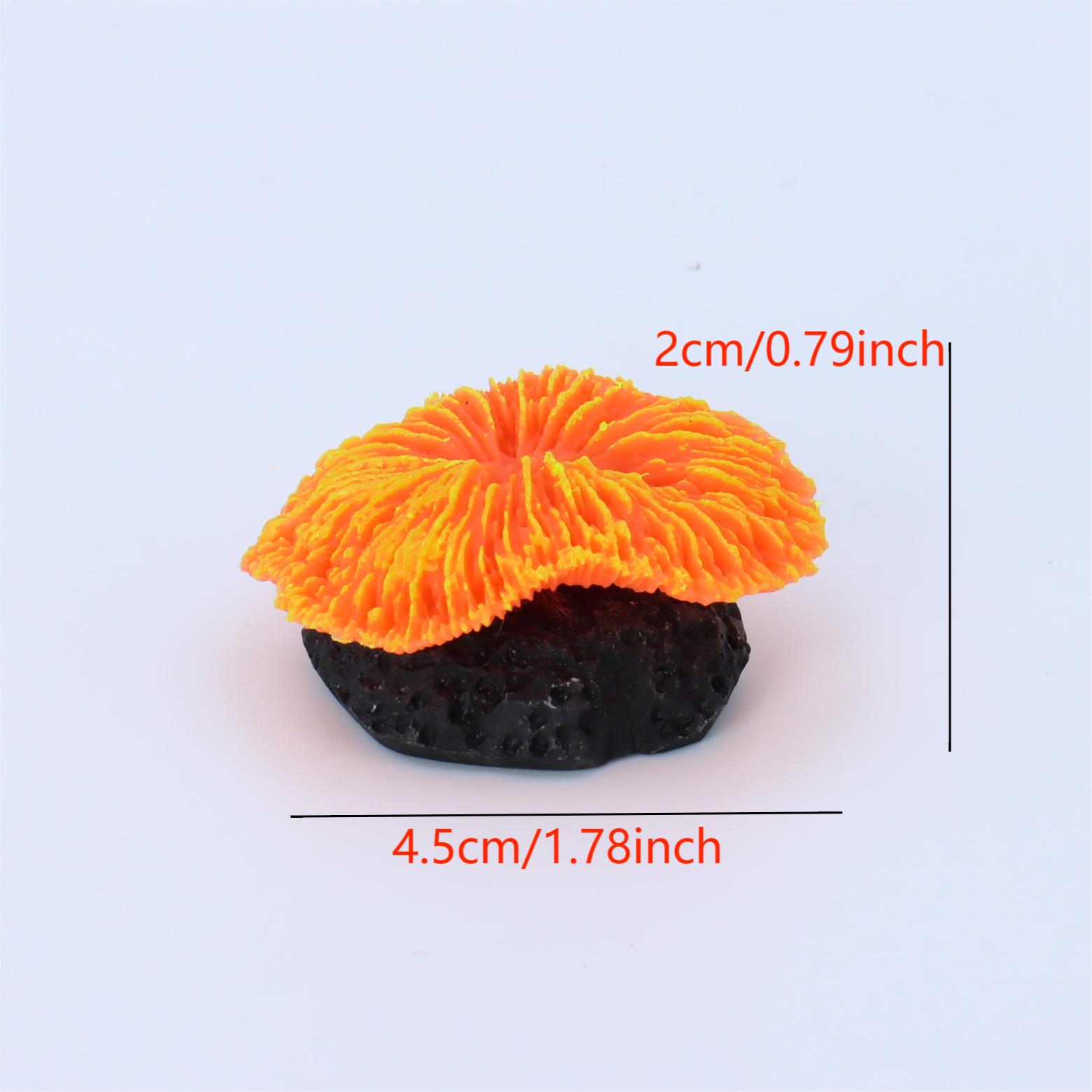 1 Buah Dekorasi Akuarium, Kara - Aquarium Plants Live ulasan dan harga