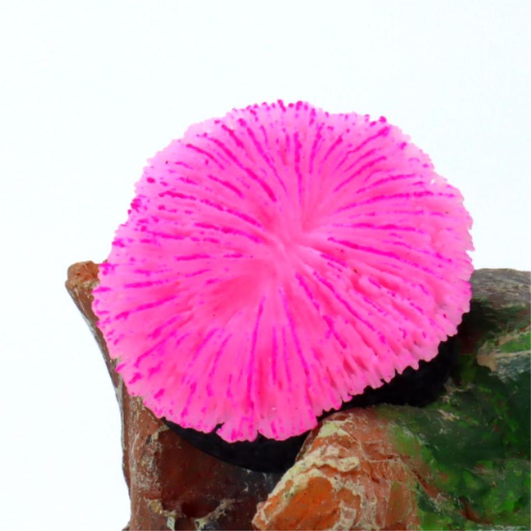1 Buah Dekorasi Akuarium, Kara - Aquarium Plants Live ulasan dan harga