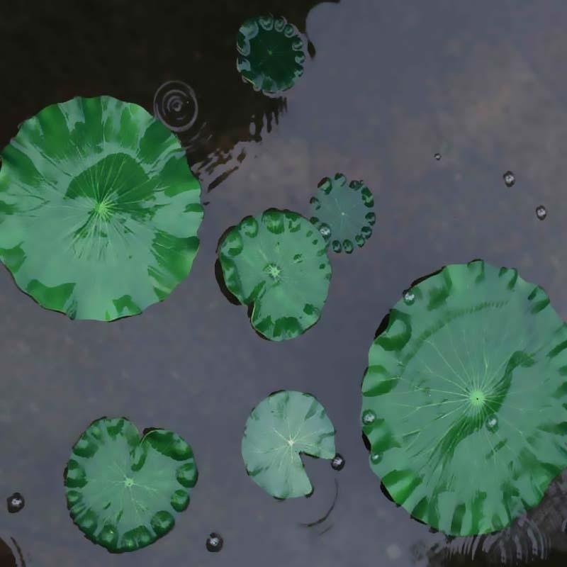 Daun Teratai Buatan 2026 Tanpa - Aquarium Plant Substrate ulasan dan harga