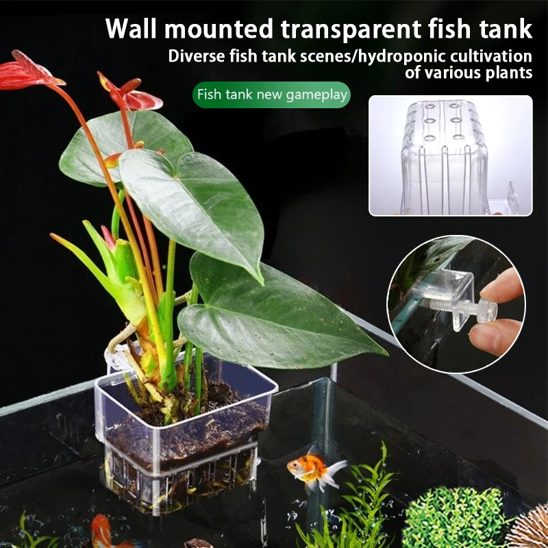 Pot Tanaman Gantung Akuarium,  - Plant Aquarium Pot ulasan dan harga