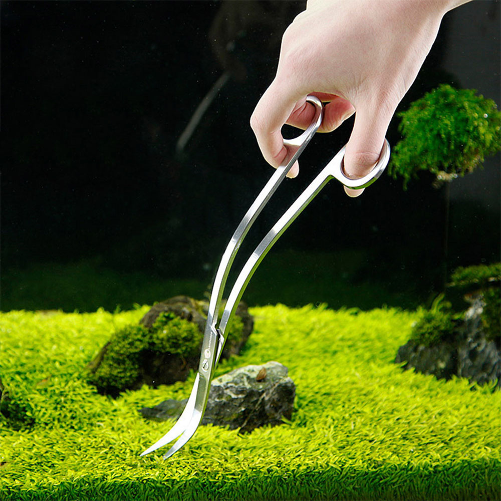 Aksesoris akuarium baja antika - Planted Aquarium Cleaning ulasan dan harga