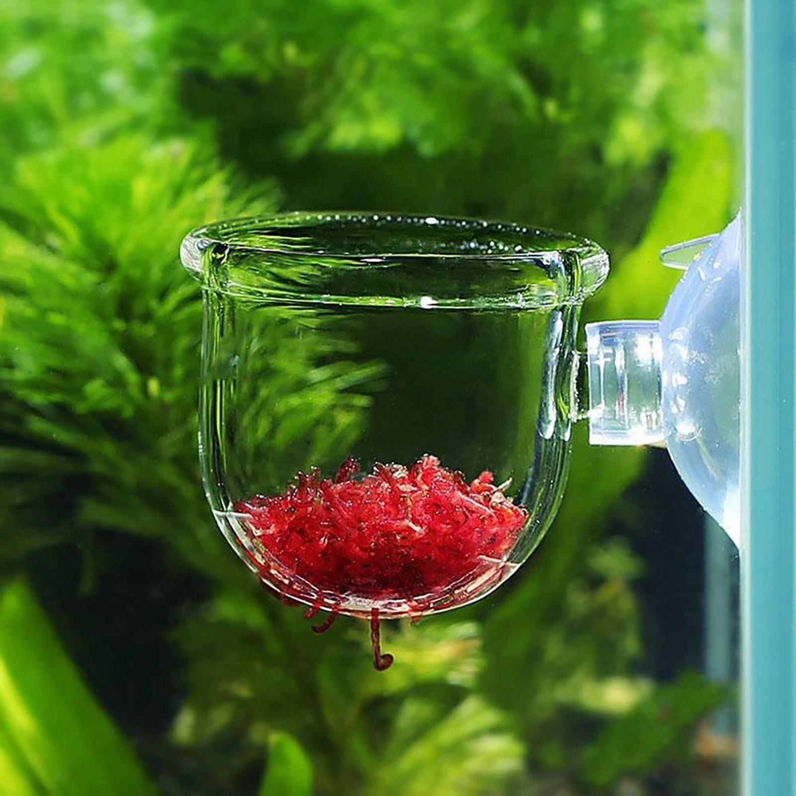 Pot Tanaman Dekorasi Akuarium  - Plant Aquarium Pot ulasan dan harga