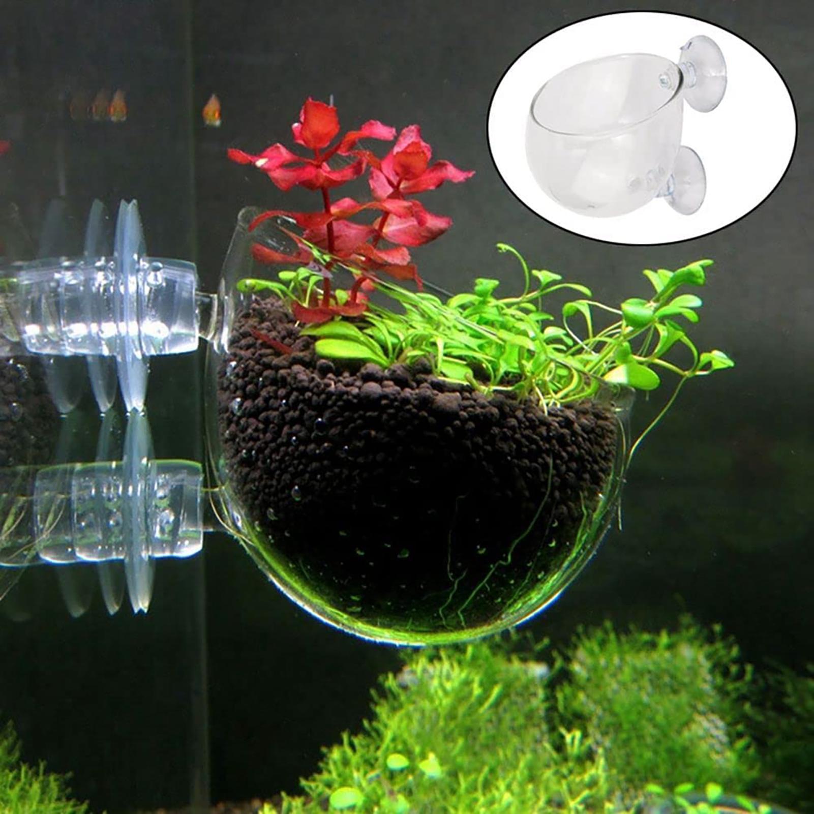 Pot Tanaman Dekorasi Akuarium  - Plant Aquarium Pot ulasan dan harga