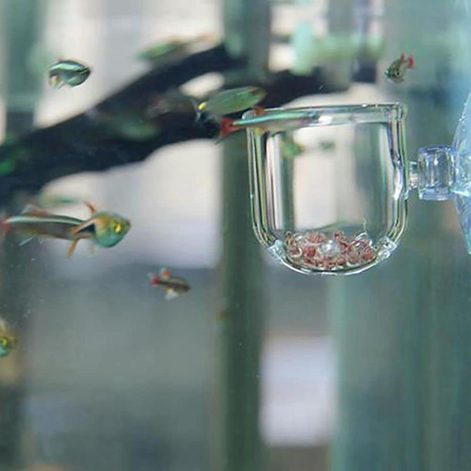 Pot Tanaman Dekorasi Akuarium  - Plant Aquarium Pot ulasan dan harga