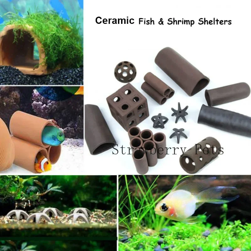 Dekorasi akuarium Keramik, uda - Aquarium Plants Live ulasan dan harga