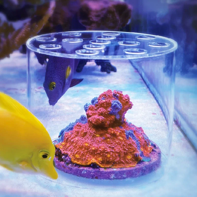Alat Penambah Pupuk Cair Vasto - Aquarium Fertilizer ulasan dan harga