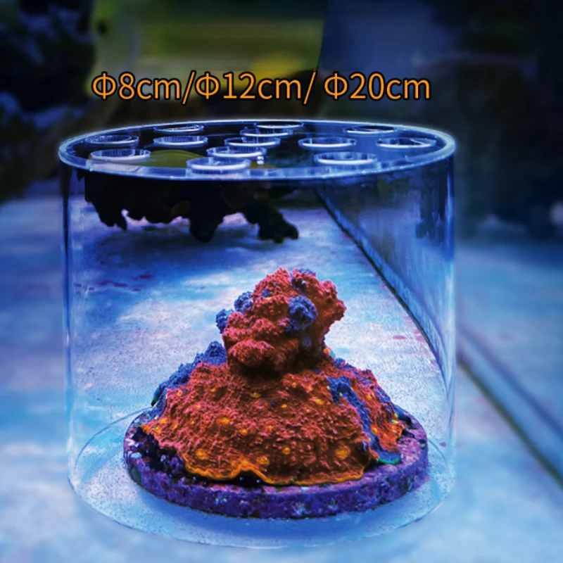 Alat Penambah Pupuk Cair Vasto - Aquarium Fertilizer ulasan dan harga