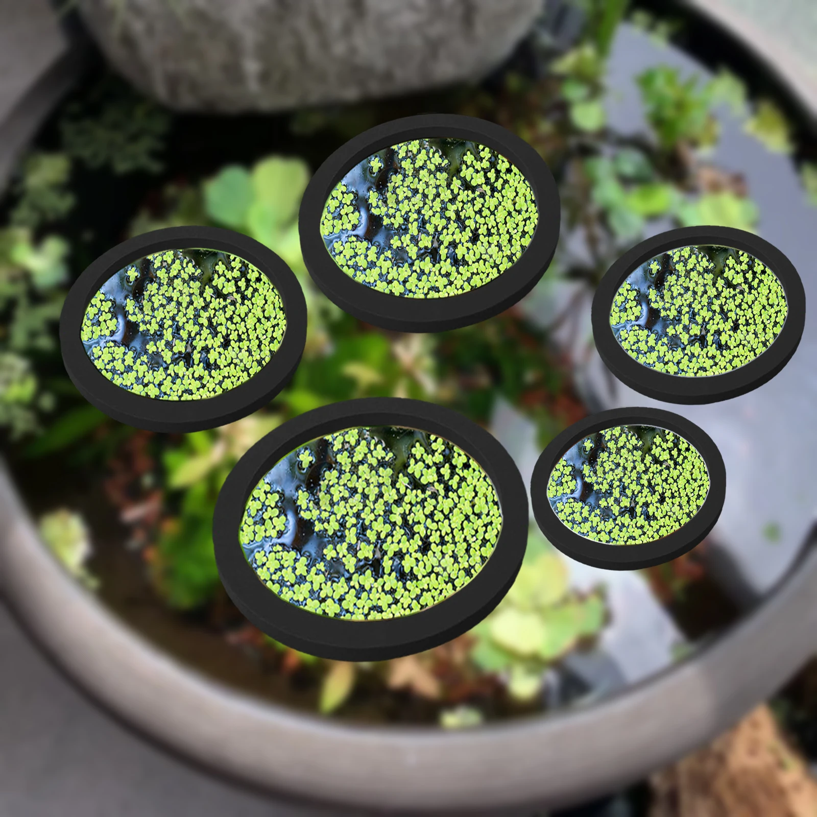 5 buah EVA cincin pemberi maka - Planted Tank ulasan dan harga