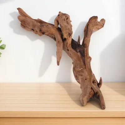 Dekorasi Kayu Mati untuk Akuar - Aquarium Driftwood ulasan dan harga