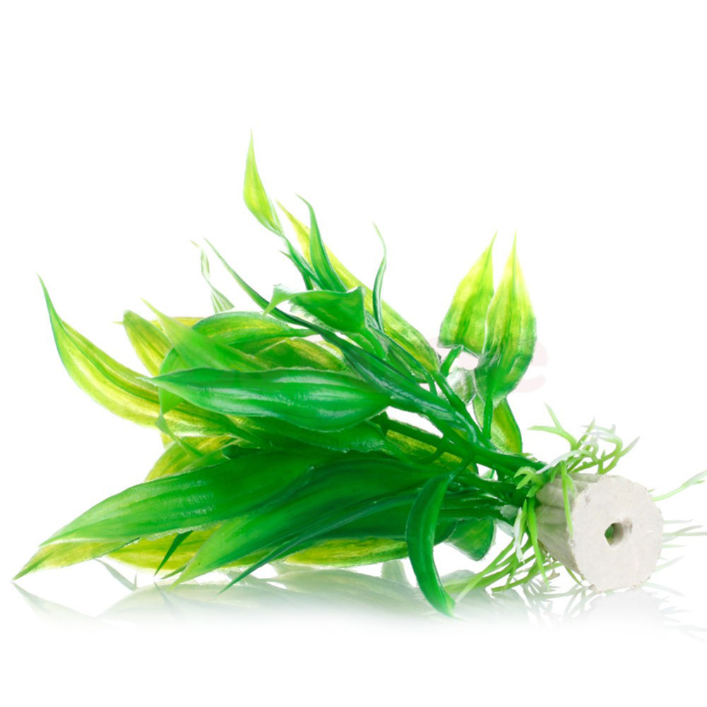 15CM/10CM Ornamen Tanaman Air  - Live Plant Aquarium ulasan dan harga