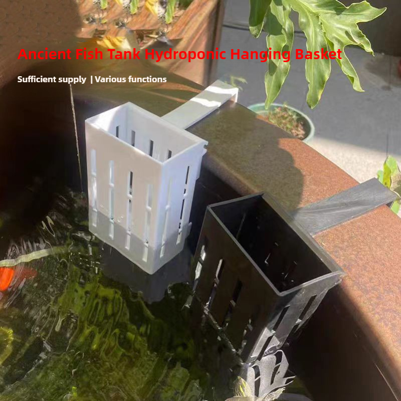 1/3 Buah Keranjang Tanaman Aku - Aquarium Plants Live ulasan dan harga