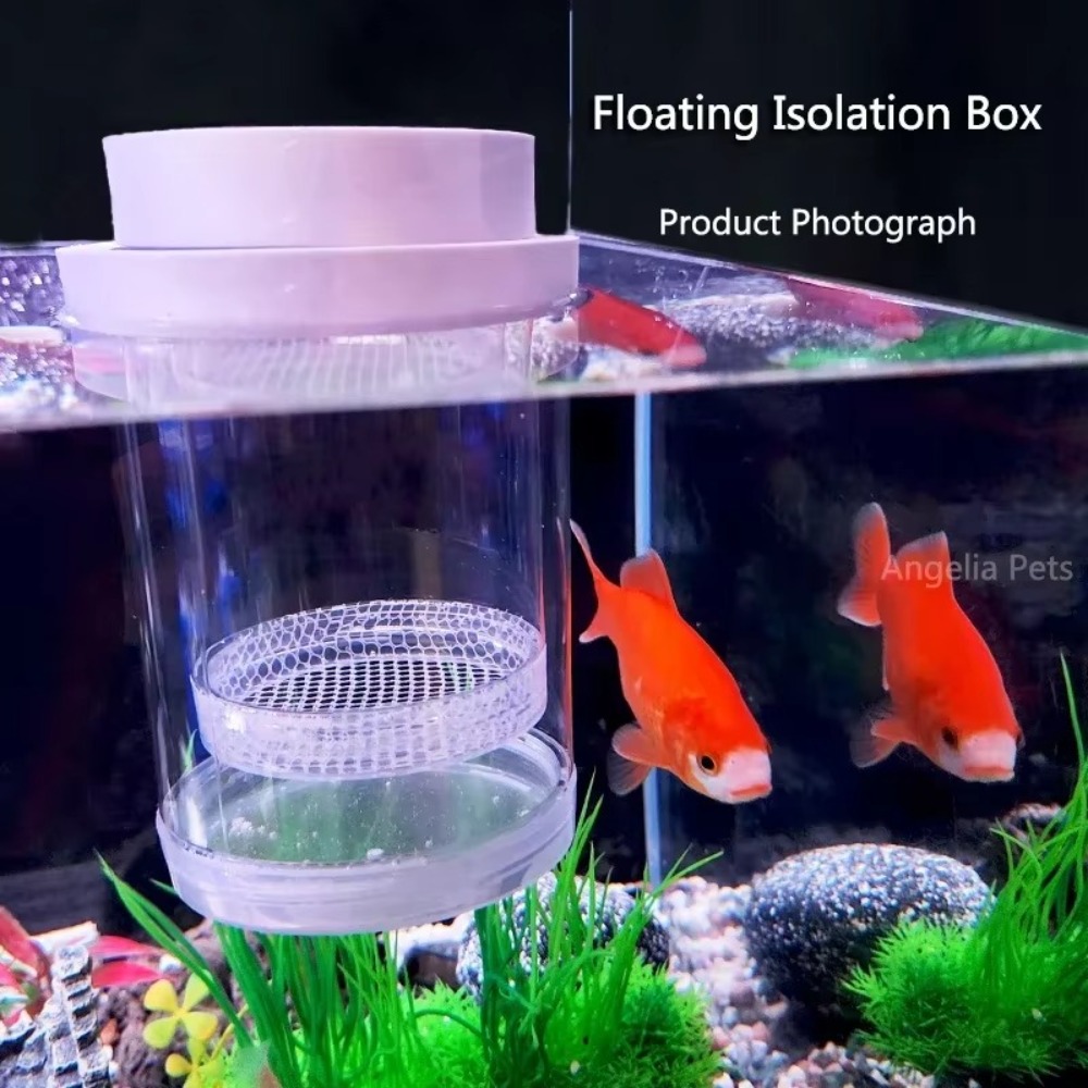 Kotak Isolasi Pembiakan Ikan M - Aquarium Fertilizer ulasan dan harga