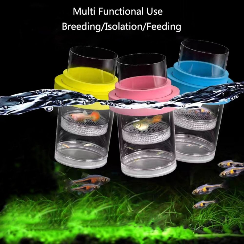 Kotak Isolasi Pembiakan Ikan M - Aquarium Fertilizer ulasan dan harga