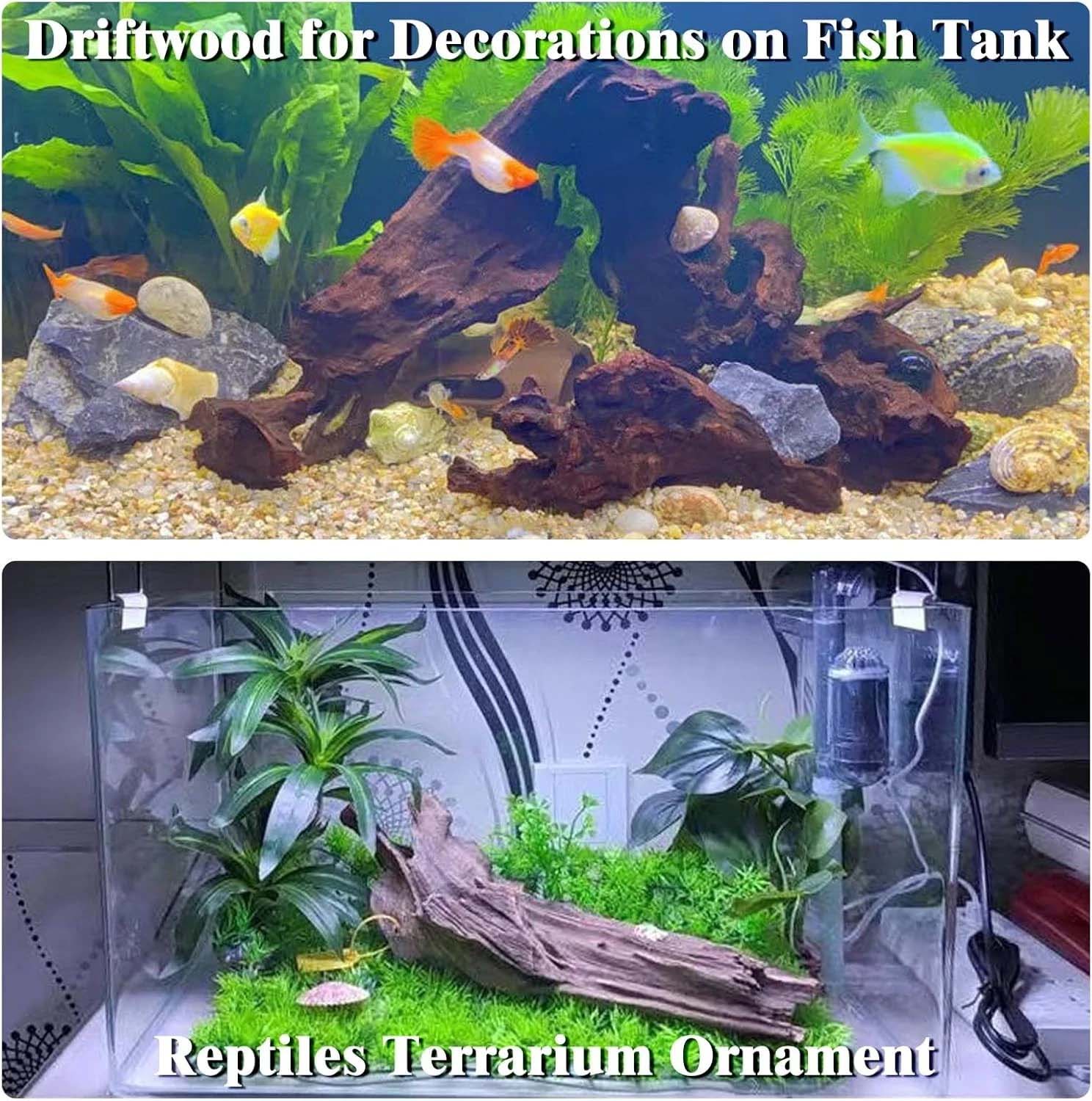 15-20CM 1Pc Dekorasi Terumbu K - Aquarium Plants Live ulasan dan harga