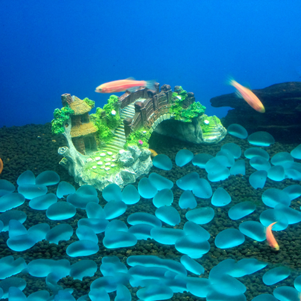 Aksesori akuarium pohon Arbor  - Aquarium Driftwood ulasan dan harga
