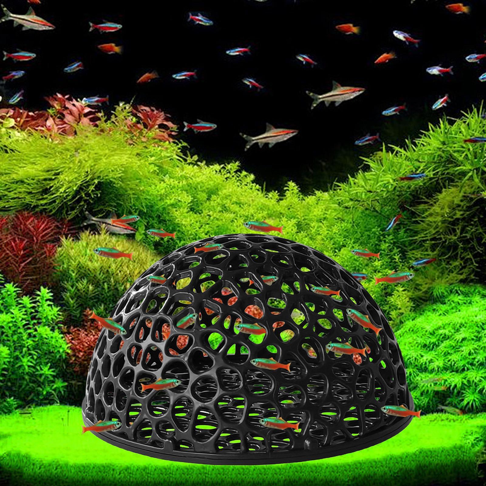 Rumah Udang Akuarium Gua Mini  - Aquarium Plants Live ulasan dan harga