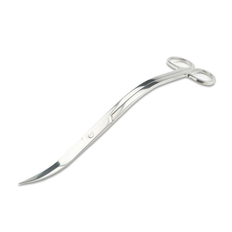 Pinset gunting akuarium Stainl - Planted Aquarium Cleaning ulasan dan harga