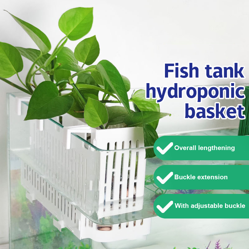 【F】Wadah Tanaman Gantung untuk - Aquarium Plant Holder ulasan dan harga
