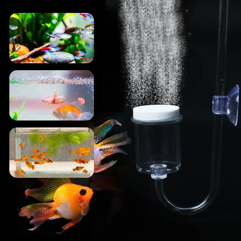4 buah Set CO2 DIY Diffuser, u - Aquarium Plants Live ulasan dan harga