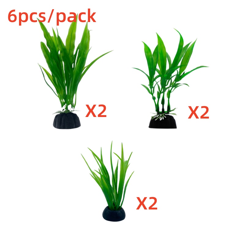 6 buah Paket Tanaman Akuarium, - Aquarium Plants Live ulasan dan harga